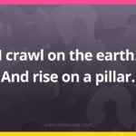 I crawl on the earth. And rise on a pillar.