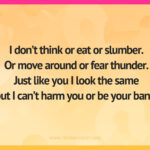 I don't think or eat or slumber. Or move around or fear thunder. Just like you I look the same but I can't harm you or be your bane.
