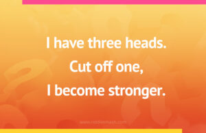 I have three heads. Cut off one, I become stronger. Cut off two, I become ten.