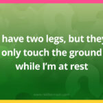 I have two legs, but they only touch the ground while I'm at rest.