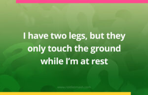 I have two legs, but they only touch the ground while I'm at rest.