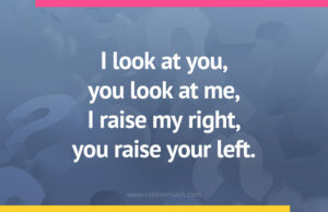 I look at you, you look at me, I raise my right, you raise your left.