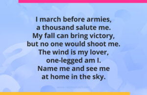 I march before armies, a thousand salute me. My fall can bring victory, but no one would shoot me. The wind is my lover, one-legged am I. Name me and see me at home in the sky.