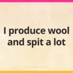 I produce wool and spit a lot.