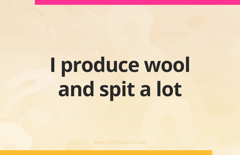 I produce wool and spit a lot.