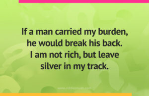 If a man carried my burden, he would break his back. I am not rich, but leave silver in my track.