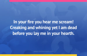 In your fire you hear me scream! Creaking and whining yet I am dead before you lay me in your hearth.
