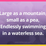 Large as a mountain, small as a pea, Endlessly swimming in a waterless sea.