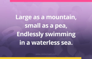 Large as a mountain, small as a pea, Endlessly swimming in a waterless sea.