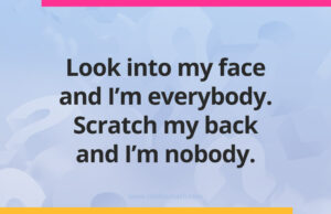 Look into my face and I'm everybody. Scratch my back and I'm nobody.