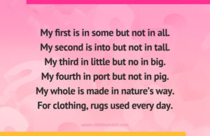 My first is in some but not in all. My second is into but not in tall. My third in little but no in big. My fourth in port but not in pig.My whole is made in nature's way. For clothing, rugs used every day.