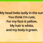 My head bobs lazily in the sun. You think I’m cute, For my face is yellow, My hair is white, and my body is green.