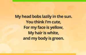 My head bobs lazily in the sun. You think I’m cute, For my face is yellow, My hair is white, and my body is green.