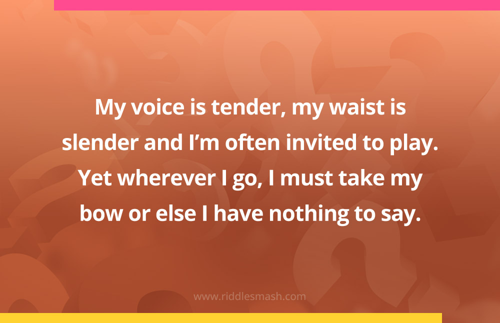 My voice is tender, my waist is slender and I'm often invited to play.
Yet wherever I go, I must take my bow or else I have nothing to say.