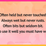 Often held but never touched. Always wet but never rusts. Often bits but seldom bit. To use it well you must have wit.