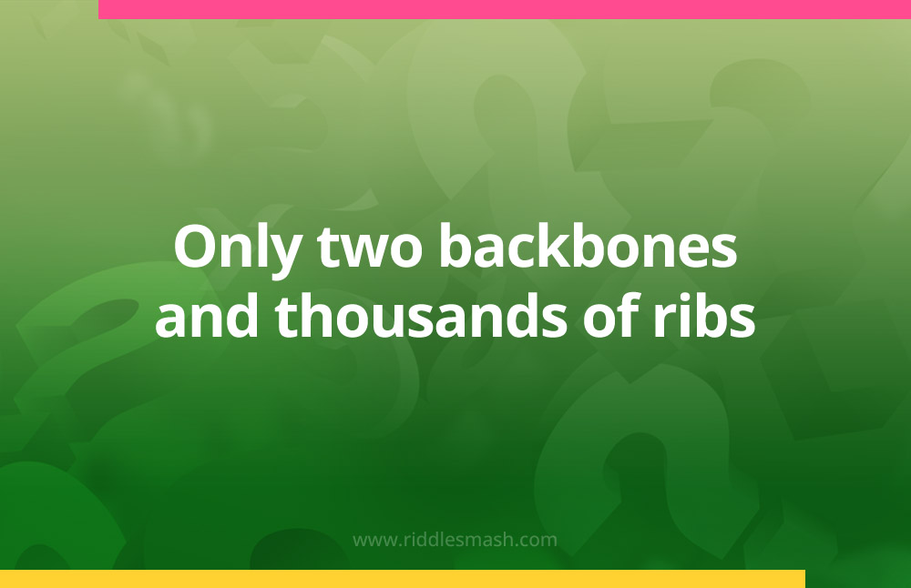 Only two backbones and thousands of ribs.