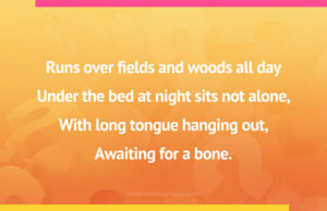 Runs over fields and woods all day Under the bed at night sits not alone, With long tongue hanging out, Awaiting for a bone.