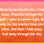 Sleeping during the day, I hide away. Watchful through the night, I open at dawn's light. But only for the briefest time, do I shine. And then I hide away. And sleep through the day.
