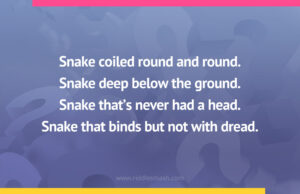 Snake coiled round and round. Snake deep below the ground. Snake that's never had a head. Snake that binds but not with dread.