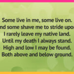 Some live in me, some live on. And some shave me to stride upon. I rarely leave my native land. Until my death I always stand. High and low I may be found. Both above and below ground.