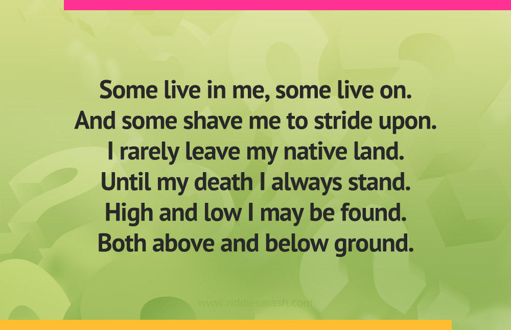 Some live in me, some live on. And some shave me to stride upon. I rarely leave my native land. Until my death I always stand. High and low I may be found. Both above and below ground.