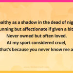 Stealthy as a shadow in the dead of night, Cunning but affectionate if given a bite. Never owned but often loved. At my sport considered cruel, But that’s because you never know me at all.