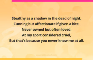 Stealthy as a shadow in the dead of night, Cunning but affectionate if given a bite. Never owned but often loved. At my sport considered cruel, But that’s because you never know me at all.