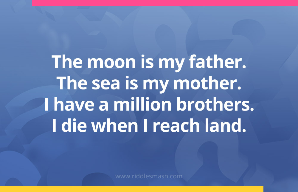 The moon is my father. The sea is my mother. I have a million brothers. I die when I reach land.