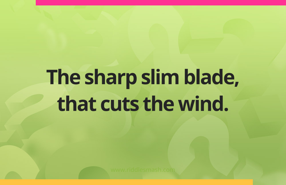 The sharp slim blade, that cuts the wind.