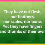 They have not flesh, nor feathers, nor scales, nor bone. Yet they have fingers and thumbs of their own.