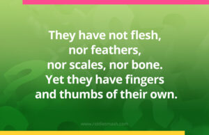 They have not flesh, nor feathers, nor scales, nor bone. Yet they have fingers and thumbs of their own.
