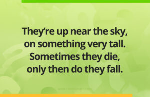 They're up near the sky, on something very tall. Sometimes they die, only then do they fall.