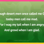 Though desert men once called me God, today men call me mad. For I wag my tail when I am angry. And growl when I am glad.