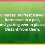 Two horses, swiftest traveling, harnessed in a pair, and grazing ever in places. Distant from them.