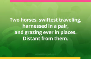 Two horses, swiftest traveling, harnessed in a pair, and grazing ever in places. Distant from them.