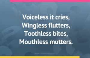 Voiceless it cries, Wingless flutters, Toothless bites, Mouthless mutters.