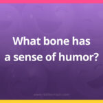 What bone has a sense of humor?