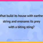 What build its house with earthen string and ensnares its prey with a biting sting?