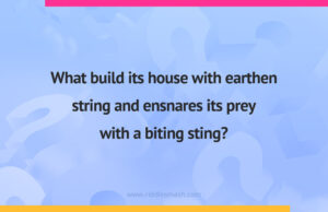 What build its house with earthen string and ensnares its prey with a biting sting?