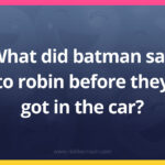 What did batman say to robin before they got in the car?