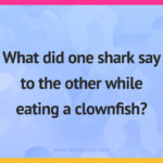 What did one shark say to the other while eating a clownfish?