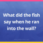 What did the fish say when he ran into the wall?
