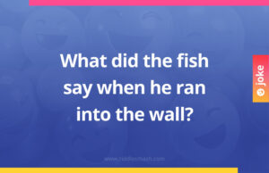 What did the fish say when he ran into the wall?