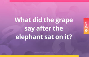 What did the grape say after the elephant sat on it?