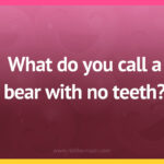 What do you call a bear with no teeth?