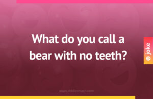 What do you call a bear with no teeth?