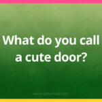 What do you call a cute door?