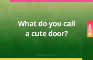 What do you call a cute door?