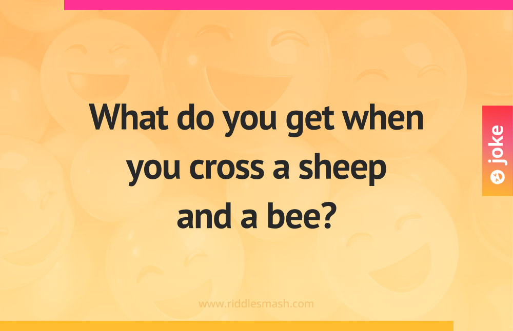 What do you get when you cross a sheep and a bee?