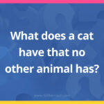 What does a cat have that no other animal has?